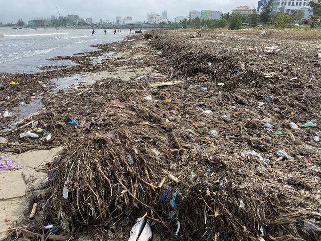  [Ảnh] Hơn 500 tấn rác dạt vào bãi biển Đà Nẵng - Ảnh 8.