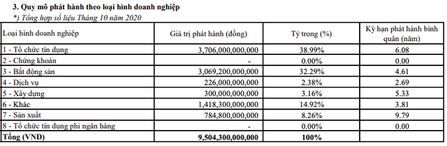 Trái phiếu hãm phanh sau Nghị định mới: Tổng giá trị phát hành tháng 10 tiếp tục giảm về 9.504 tỷ đồng - Ảnh 2.