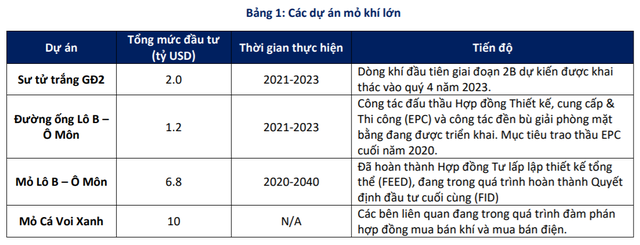 Nhiều dự án dầu khí lớn triển khai, BSC dự báo PVS lãi hơn 900 tỷ trong năm 2021 - Ảnh 2.