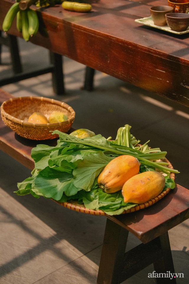 Cải tạo không gian rêu phong thành nhà vườn gói ghém những bình yên của người phụ nữ Hà Thành - Ảnh 24.