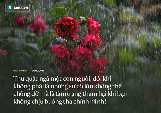 1 việc khiến con người càng sống càng khổ, nhiều người không nhận ra nên không thể tìm thấy lối thoát cho bản thân - Ảnh 2.