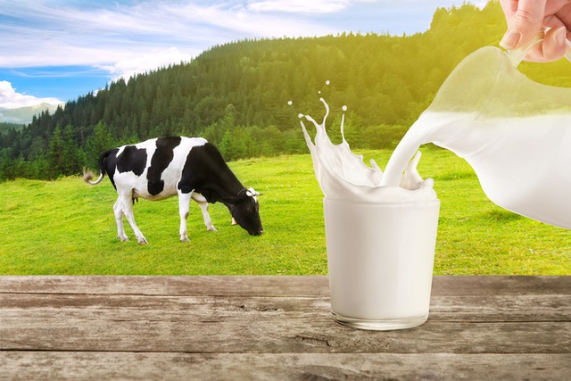 Sữa bò và sữa đậu nành: Đặt lên cân hai loại sữa được ưa chuộng, xem sữa nào nổi trội hơn - Ảnh 1.