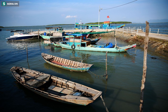 Nằm giữa biển Cần Giờ có một hòn đảo đẹp ngỡ ngàng, hoang sơ, rất ít người biết ở TP.HCM - Ảnh 14.