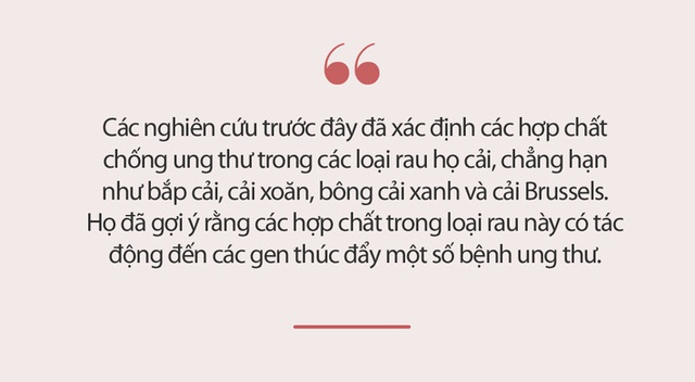 Kẻ thù của ung thư chính là họ nhà rau này, ăn mỗi ngày để nuôi dưỡng dạ dày, lá lách, thúc đẩy trao đổi chất và đánh bay tế bào ung thư - Ảnh 3.