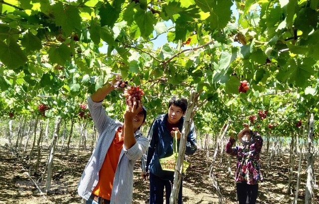 Dưới đây là 7 khuynh hướng tiền bạc phổ biến, hãy xem bạn đang thuộc khuynh hướng nào để quản lý tài chính tốt nhất - Ảnh 6.