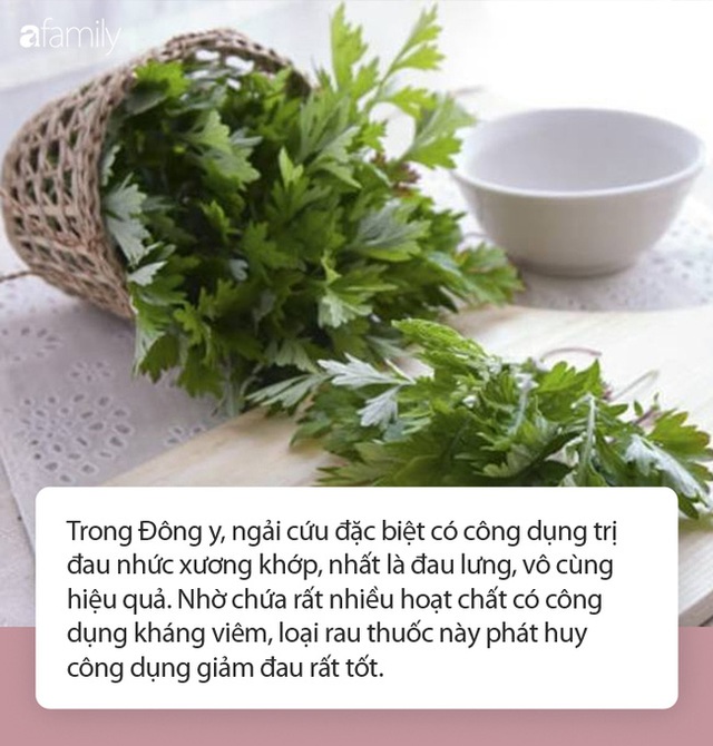 Hơ nóng rồi áp lá ngải cứu vào lưng, cơn đau sẽ nhanh chóng biến mất nhưng lời chuyên gia nói mới là điều bạn cần lưu ý - Ảnh 2.