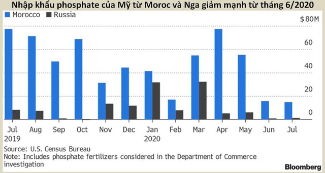 Thị trường phân bón thế giới hiện nay ra sao? - Ảnh 4.
