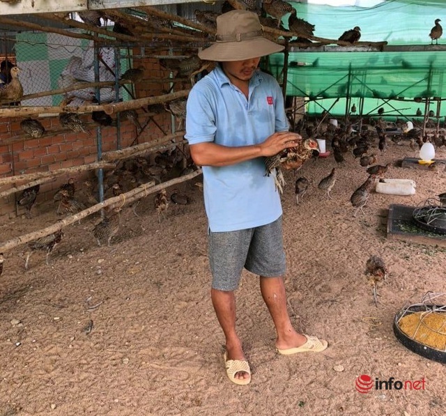 Bỏ việc ngân hàng, thanh niên về quê làm chuyện lạ đời, mở nhạc cho chim nghe, nuôi cá bống - Ảnh 1.