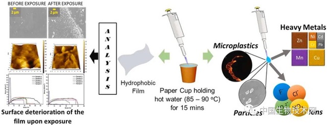 Dùng cốc giấy đựng cà phê nóng, thứ bạn uống sẽ không chỉ là cafein mà còn đầy ắp những thứ đáng sợ này - Ảnh 2.