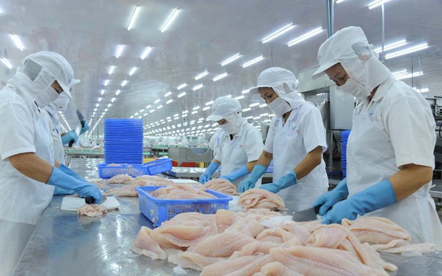 Trung Quốc siết nhập cá tra, doanh nghiệp Việt tránh chào giá thấp