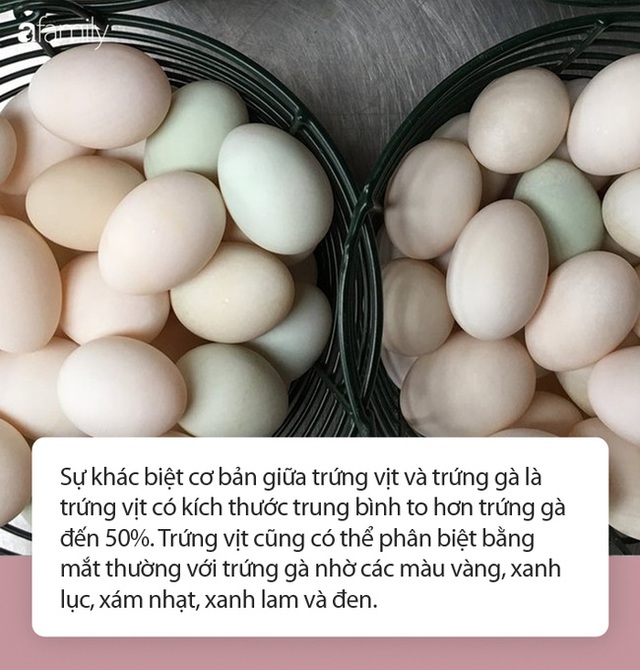10 lý do khiến trứng vịt được coi là ngon bổ hơn trứng gà nhưng đừng quên khuyến cáo này của chuyên gia  - Ảnh 2.