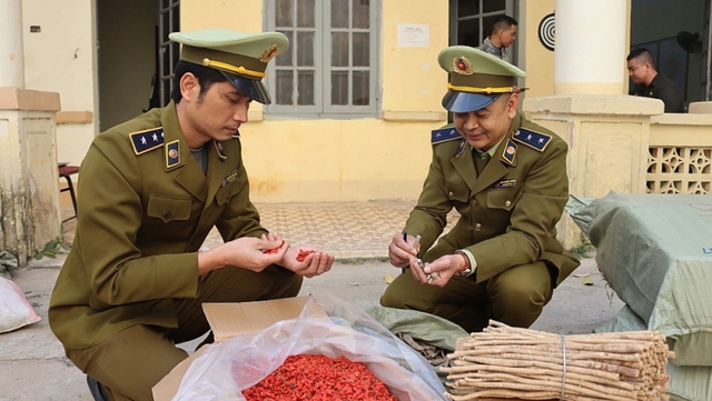 Thu giữ hơn 1 tấn nguyên liệu thuốc bắc nhập lậu - Ảnh 1.