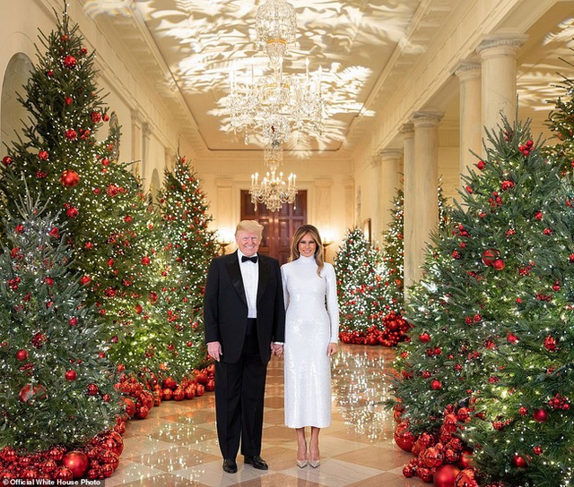 Vợ chồng Tổng thống Trump rạng rỡ trong ảnh Giáng sinh chính thức, dân mạng tinh mắt nhận ra một chi tiết gây khó hiểu - Ảnh 3.