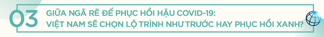 Giám đốc Quốc gia WB tại Việt Nam: Phục hồi xanh không có nghĩa là đánh đổi tăng trưởng kinh tế! - Ảnh 3.