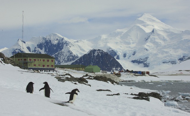 Nam Cực xuất hiện ca nhiễm Covid-19: Thành trì cuối cùng trên thế giới chưa bị đại dịch tấn công đã sụp đổ - Ảnh 1.