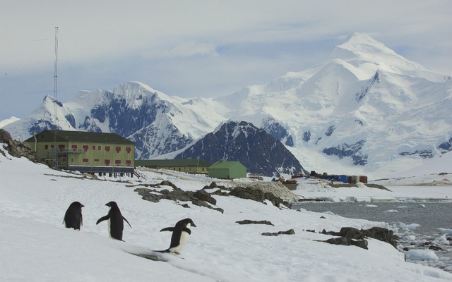 Nam Cực xuất hiện ca nhiễm Covid-19: "Thành trì" cuối cùng trên thế giới chưa bị đại dịch tấn công đã sụp đổ