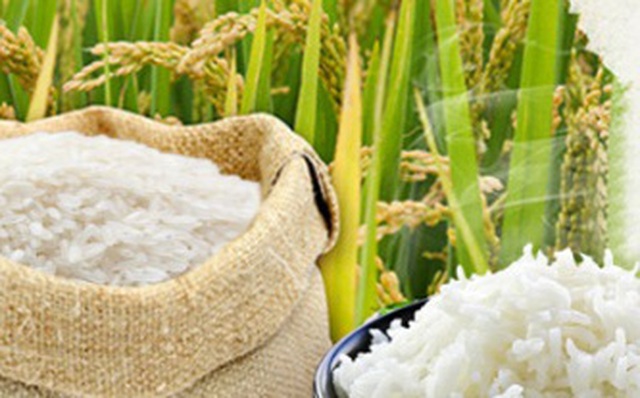 Giá gạo Việt Nam đạt "đỉnh" 9 năm, gạo Thái Lan cao nhất 6 tháng do khan hiếm nguồn cung