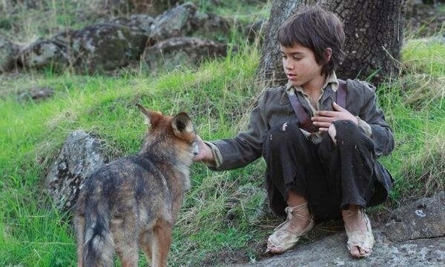 Câu chuyện có thật về cậu bé rừng xanh được bầy sói nuôi dưỡng trong 12 năm và cuộc sống sau khi tái hòa nhập cộng đồng con người - Ảnh 1.