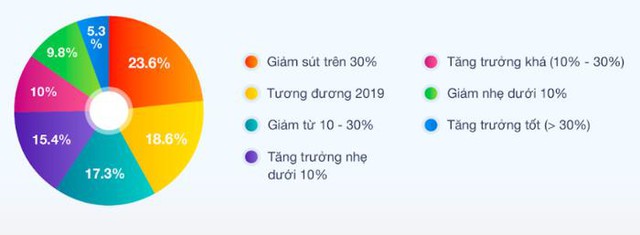 51% cửa hàng bán lẻ được khảo sát sụt doanh thu trong Covid 19 - Ảnh 1.