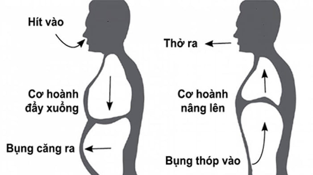 Phổi là lá chắn của sức khỏe, đây là 3 bài tập bảo vệ phổi được bác sĩ chuyên khoa khuyến khích, luyện tập mỗi ngày thì không lo ốm - Ảnh 1. Phổi là lá chắn của sức khỏe, đây là 3 bài tập bảo vệ phổi được bác sĩ chuyên khoa khuyến khích, luyện tập mỗi ngày thì không lo ốm - Ảnh 1.