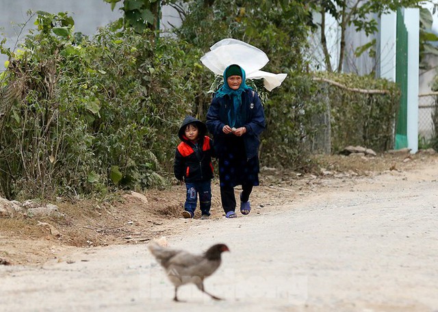 Hà Giang rét tê tái, người dân nổi lửa sưởi ấm cho gia súc - Ảnh 1.