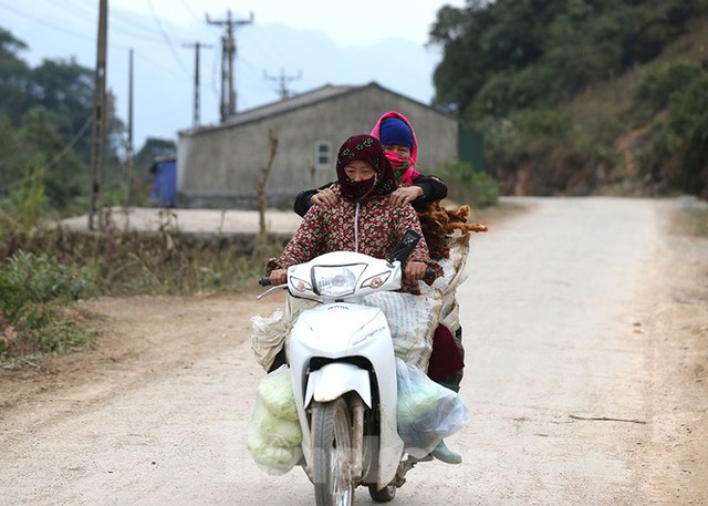 Hà Giang rét tê tái, người dân nổi lửa sưởi ấm cho gia súc - Ảnh 2.