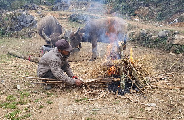 Hà Giang rét tê tái, người dân nổi lửa sưởi ấm cho gia súc - Ảnh 10.