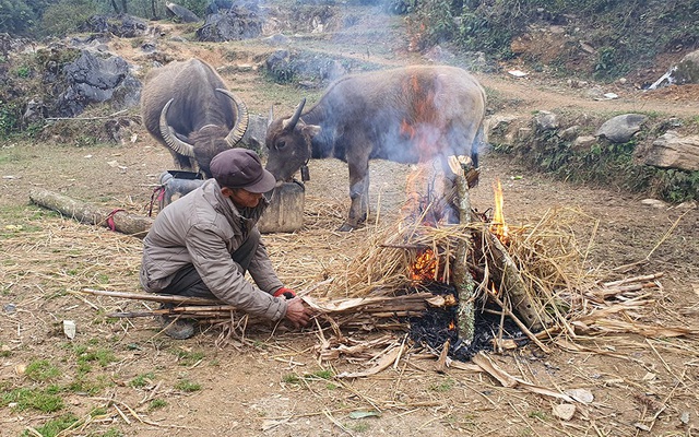 Hà Giang rét tê tái, người dân nổi lửa sưởi ấm cho gia súc