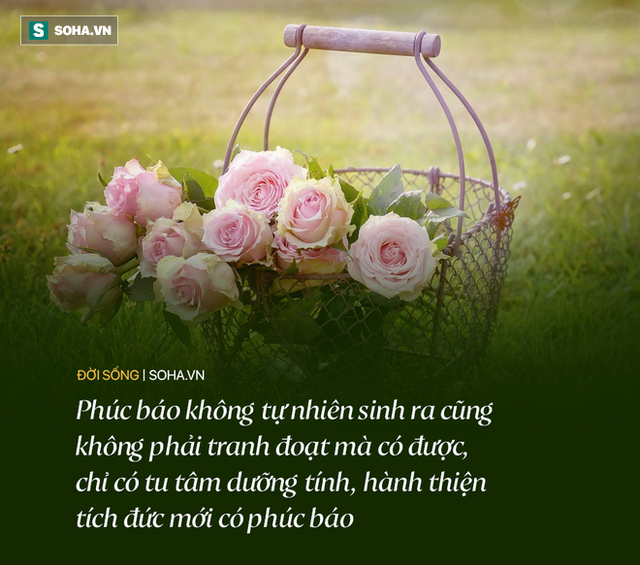 Phong thủy trong nhà tốt hay xấu, chỉ cần nhìn vào 1 thứ này ở chủ nhà là có ngay câu trả lời - Ảnh 2.