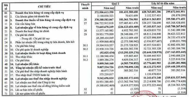 TTF: Quý 2 tiếp tục kinh doanh có lãi 9,5 tỷ đồng - Ảnh 1.