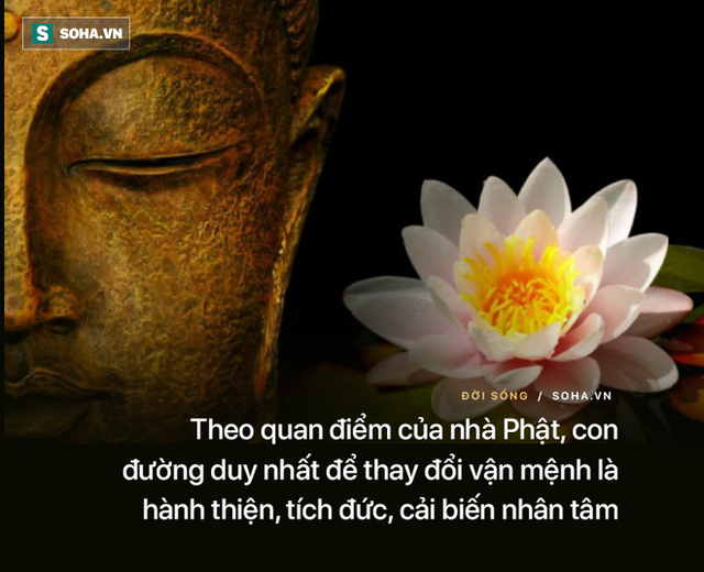 Vị trí giả ném 1 viên đá và 1 chiếc nhẫn vào bãi đá rồi bảo chàng trai đi nhặt: Hồi kết đáng ngẫm, thức tỉnh nhiều người - Ảnh 4. Vị trí giả ném 1 viên đá và 1 chiếc nhẫn vào bãi đá rồi bảo chàng trai đi nhặt: Hồi kết đáng ngẫm, thức tỉnh nhiều người - Ảnh 4.