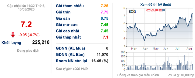 Bamboo Capital (BCG): Thị giá liên tục phá đỉnh, cơ cấu cổ đông biến động mạnh - Ảnh 1.