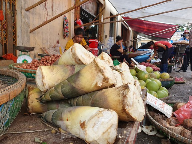 Măng rừng vào mùa tươi ngon, ngập tràn chợ Hà Nội - Ảnh 1.