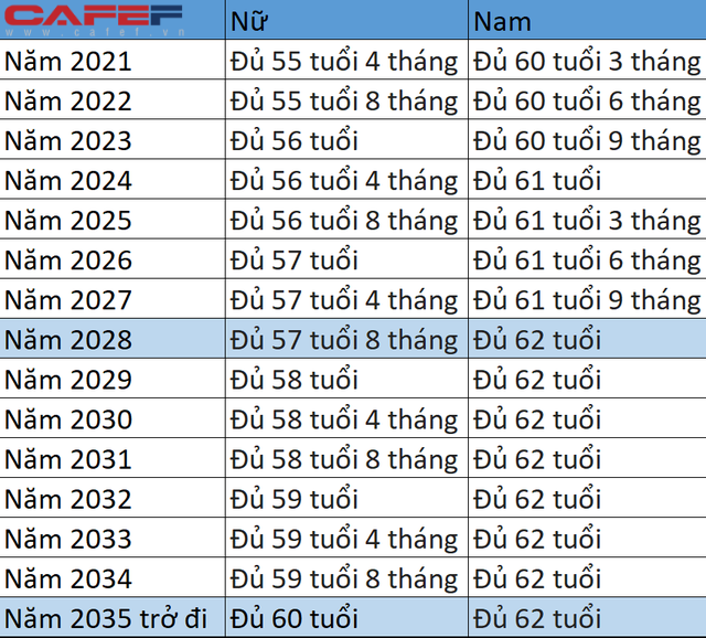 Chi tiết tuổi nghỉ hưu áp dụng từ ngày 1/1/2021 - Ảnh 1.