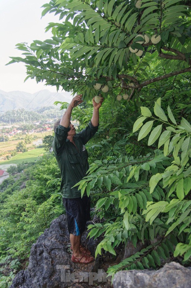 Lạng Sơn: Chợ na lớn nhất nước vào mùa - Ảnh 6.