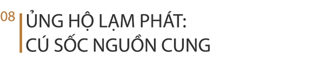 Cuộc tranh luận về đại lạm phát trở nên sôi sục, đây là lý lẽ của những người trong cuộc - Ảnh 15.