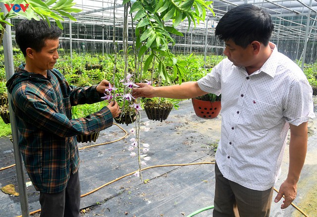 “Đột nhập” vườn lan rừng quý như kho báu của “lão nông” ở Đông La - Ảnh 17.