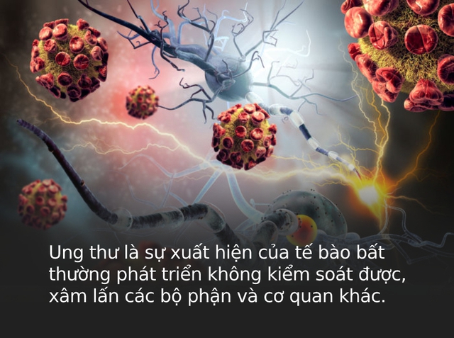 Loại ung thư mà người giàu và người nghèo dễ mắc nhất là gì? Câu trả lời sẽ khiến bạn phải thay đổi thói quen sống gấp - Ảnh 1.