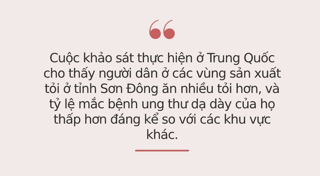 Tế bào ung thư sẽ rất sợ nếu biết bạn ăn 6 loại rau củ này mỗi ngày: Tất cả đều ngon lành, có bán ở khắp chợ, bạn bỏ qua sẽ rất phí! - Ảnh 3.