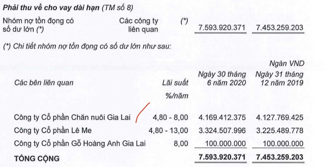 Chăn nuôi Gia Lai: Vốn chủ âm 5.300 tỷ đồng, HAGL sẽ chuyển đổi 5.866 tỷ nợ vay, phải thu sang cổ phần - Ảnh 1.