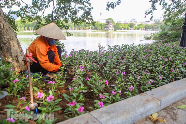 Vỉa hè hồ Hoàn Kiếm tăng tốc lát đá, chỉnh trang vườn hoa - Ảnh 11.