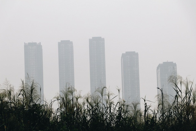 Ảnh: Tòa nhà Landmark81 mất tích trong sương mù, trời Sài Gòn se se lạnh vào sáng đầu tuần - Ảnh 11.