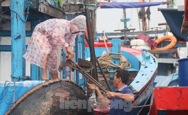 Người dân Đà Nẵng hối hả neo đậu, di dời tàu thuyền chống bão số 5 - Ảnh 11.