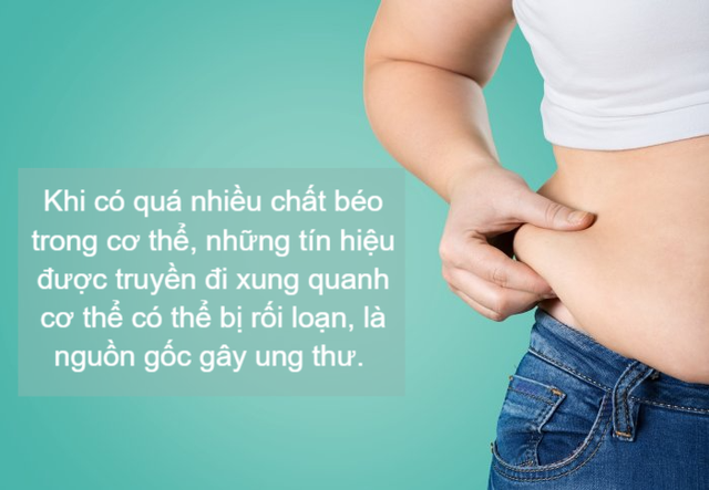 Các chuyên gia dự đoán béo phì sẽ trở thành nguyên nhân hàng đầu gây ung thư: Kiểm soát tốt điều này là cách dự phòng bệnh rất quan trọng - Ảnh 2.