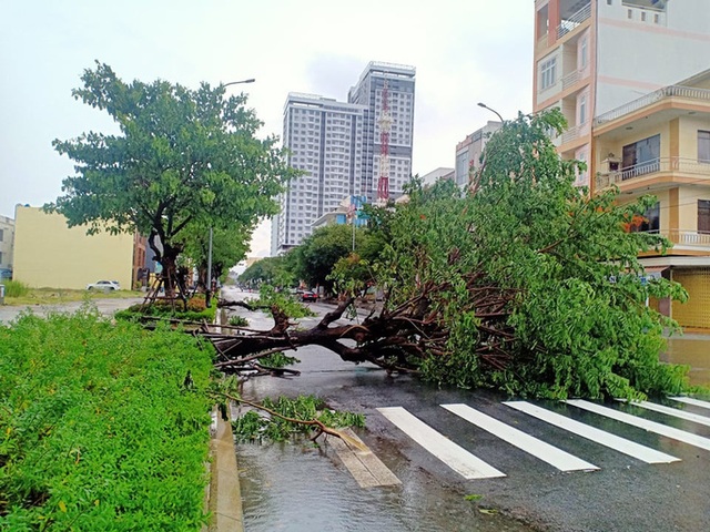  Chùm ảnh trước bão: Đà Nẵng mưa xối xả ngập đường, sấm sét vang trời  - Ảnh 5.