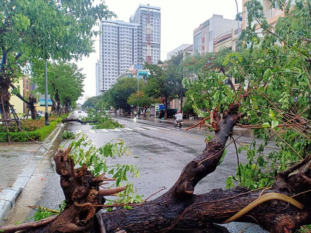  Chùm ảnh trước bão: Đà Nẵng mưa xối xả ngập đường, sấm sét vang trời  - Ảnh 6.