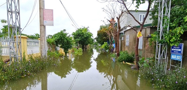 Sau bão, nhiều hộ dân vẫn bị cô lập trong biển nước, cột viễn thông cao cả trăm mét bị xô đổ - Ảnh 10.