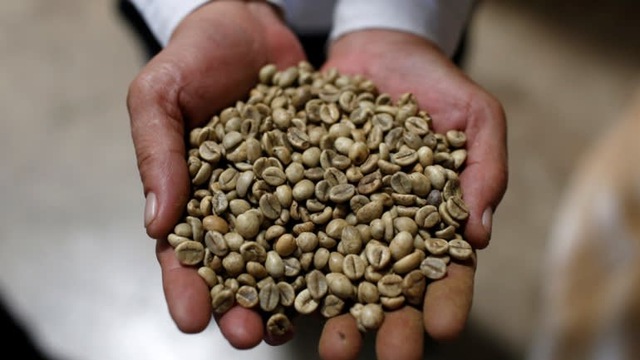 Việt Nam vượt Brazil trở thành nhà cung ứng cà phê hàng đầu vào Nhật Bản - Ảnh 2.