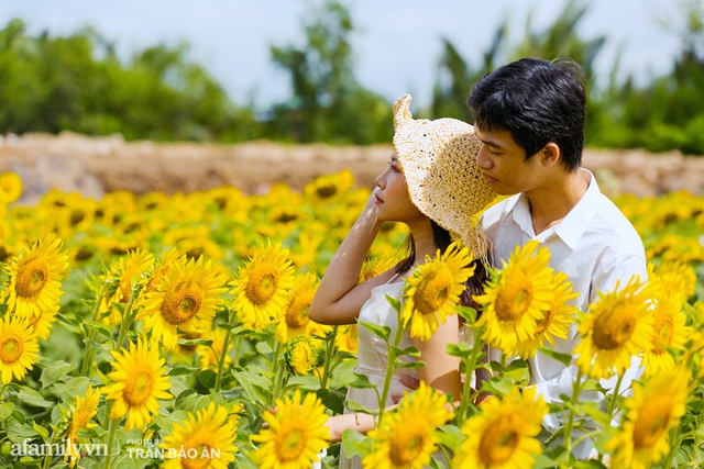 Mới tháng 9, cánh đồng hoa hướng dương và đầm sen ngay trong Sài Gòn đã nở cực rộ đẹp như Tết, tốn có 40.000 đồng được ngắm cả ngày trời! - Ảnh 15.