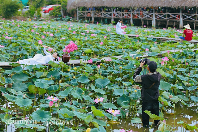 Mới tháng 9, cánh đồng hoa hướng dương và đầm sen ngay trong Sài Gòn đã nở cực rộ đẹp như Tết, tốn có 40.000 đồng được ngắm cả ngày trời! - Ảnh 16.